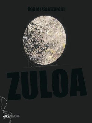 cover image of Zuloa